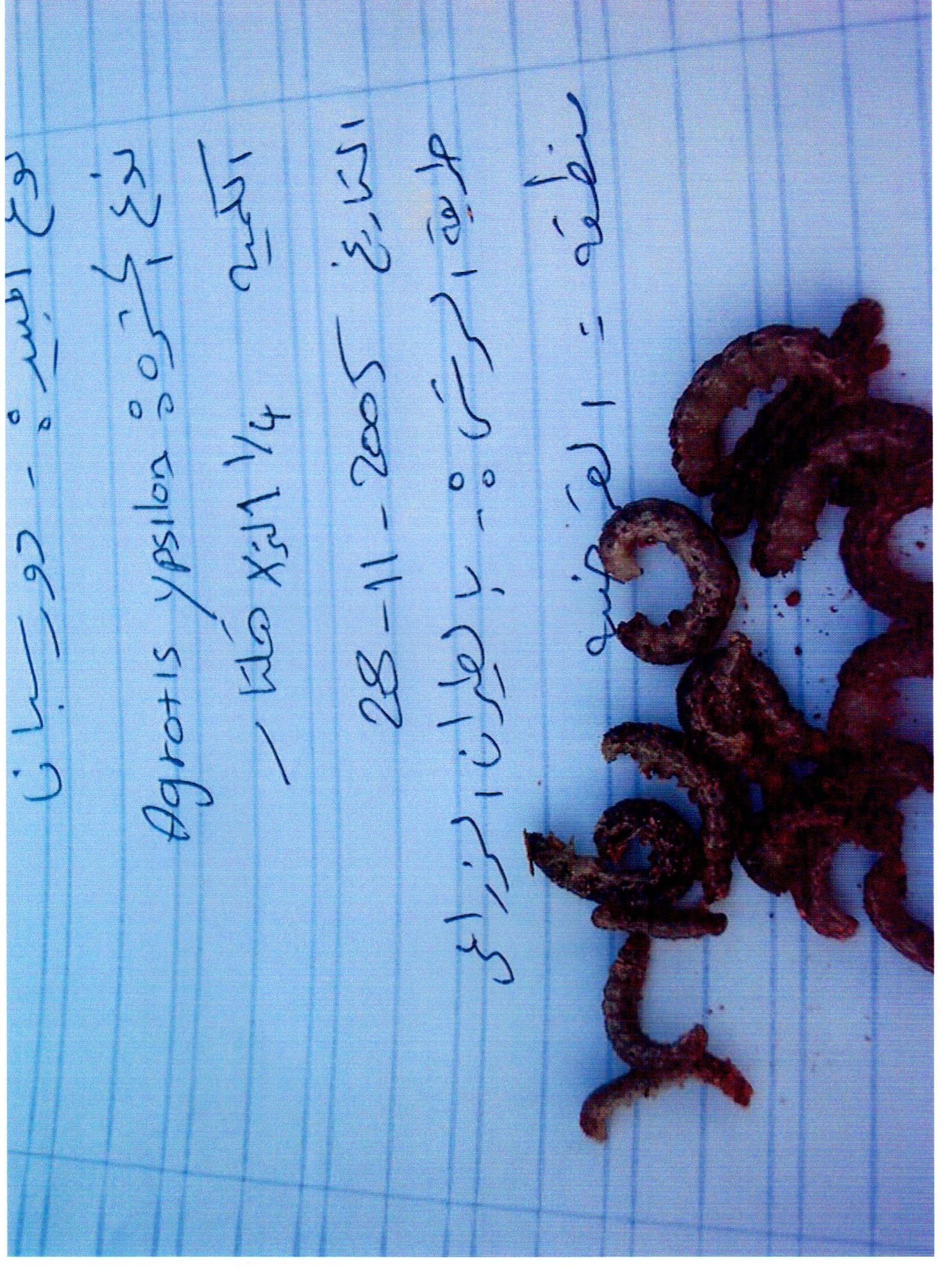 آفات 2