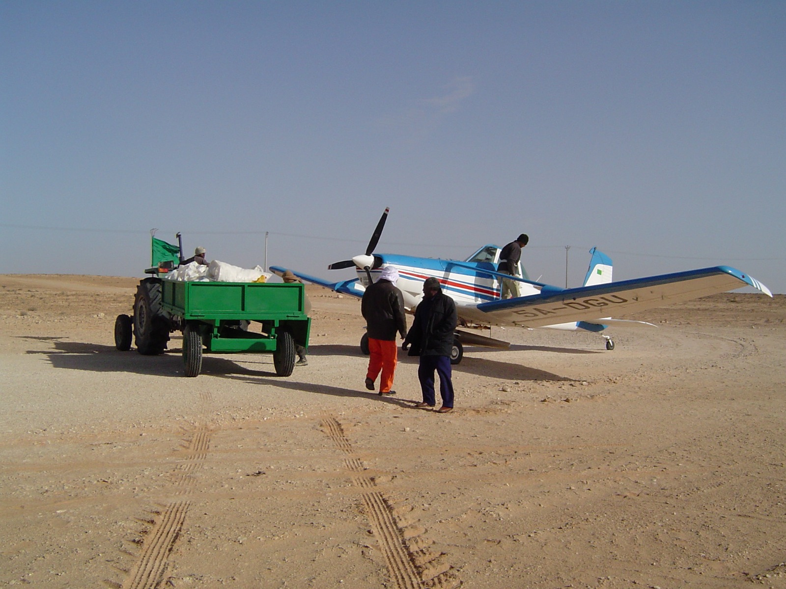 بذور 1